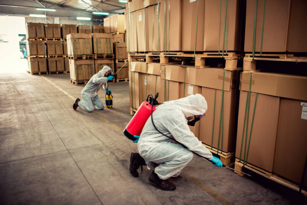 Best Termite Control Services  in Geneva, IL