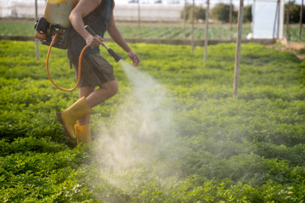Best Residential Pest Control  in Geneva, IL