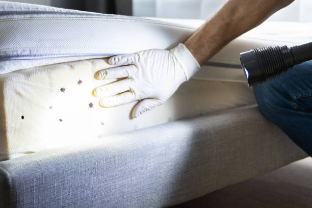 Best Affordable Pest Control Services  in Geneva, IL