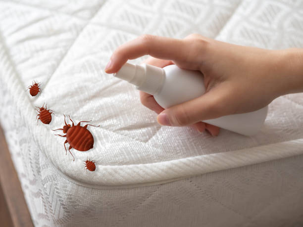 Best Pest Prevention Services  in Geneva, IL