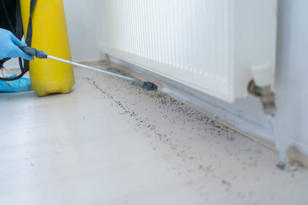 Best Exterminator Services  in Geneva, IL