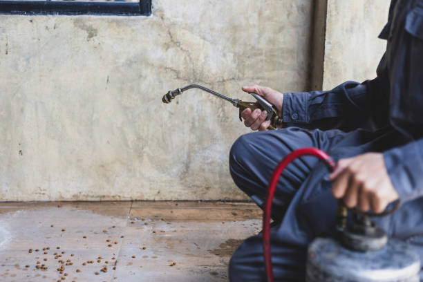 Best Emergency Pest Control  in Geneva, IL