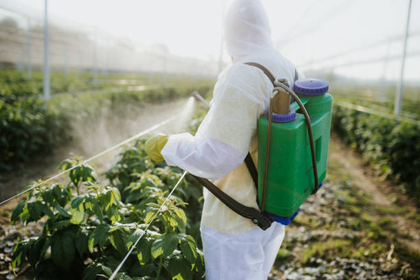 Best Termite Control Services  in Geneva, IL